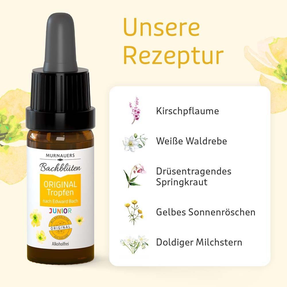 Tropfenflasche mit Zutatenliste: Kirschpflaume, Weiße Waldrebe, Drüsentragendes Springkraut, Gelbes Sonnenröschen, Doldiger Milchstern.