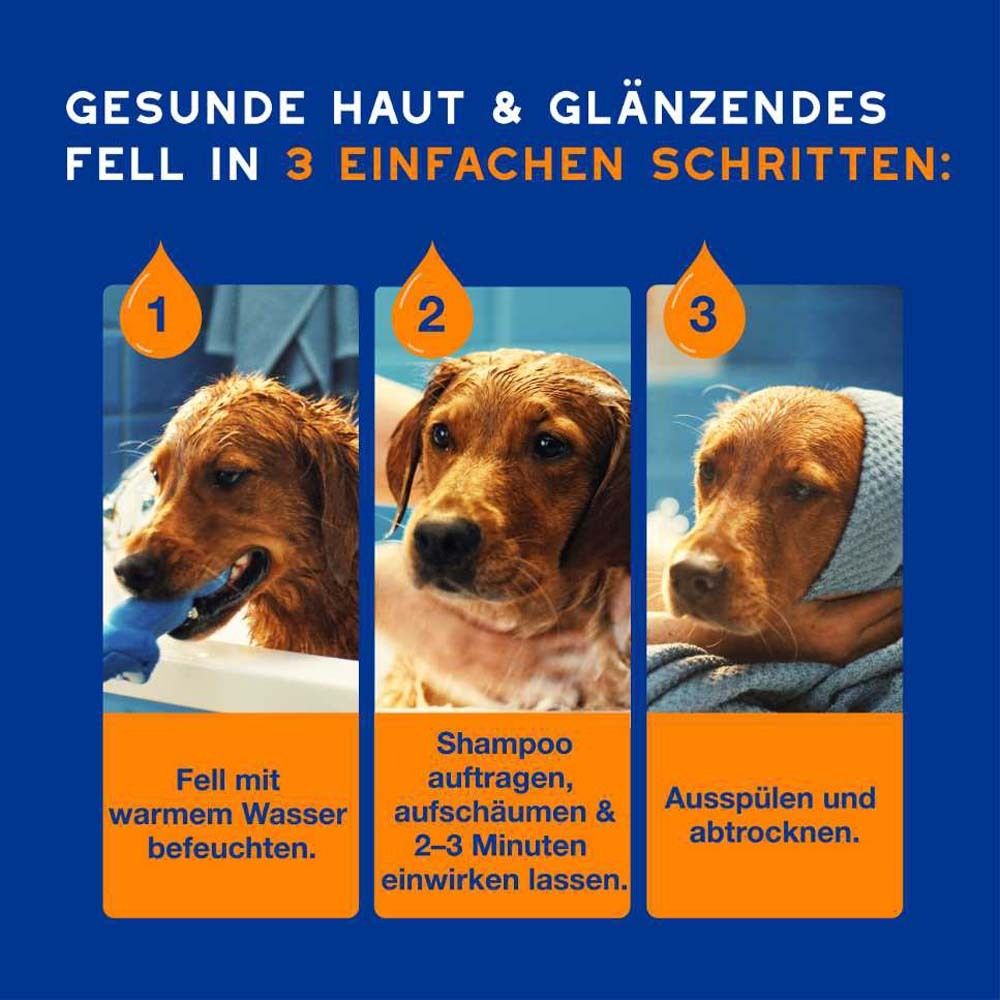Drei Hunde in Schritten: Fell befeuchten, Shampoo auftragen, ausspülen und abtrocknen. Text: Gesunde Haut & glänzendes Fell.