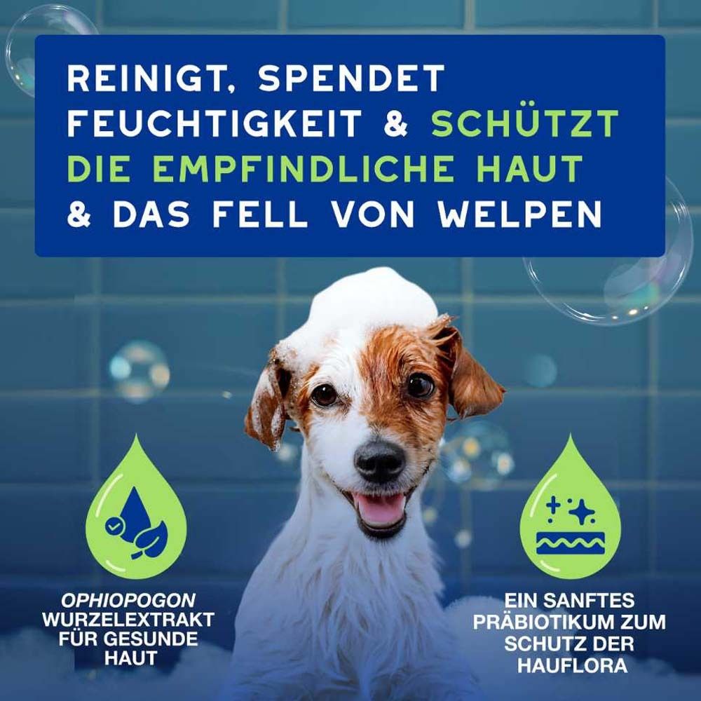 Hund mit Schaum auf dem Kopf. Text: Reinigt, spendet Feuchtigkeit & schützt die empfindliche Haut & das Fell von Welpen.