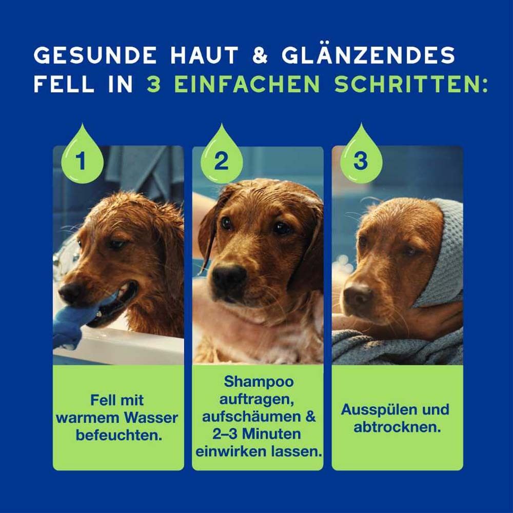 Drei Hunde beim Baden. Text: Gesunde Haut & glänzendes Fell in 3 einfachen Schritten.