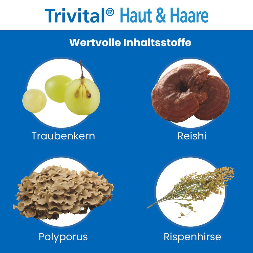 Grafik: Traubenkern, Reishi, Polyporus, Rispenhirse. Wertvolle Inhaltsstoffe.