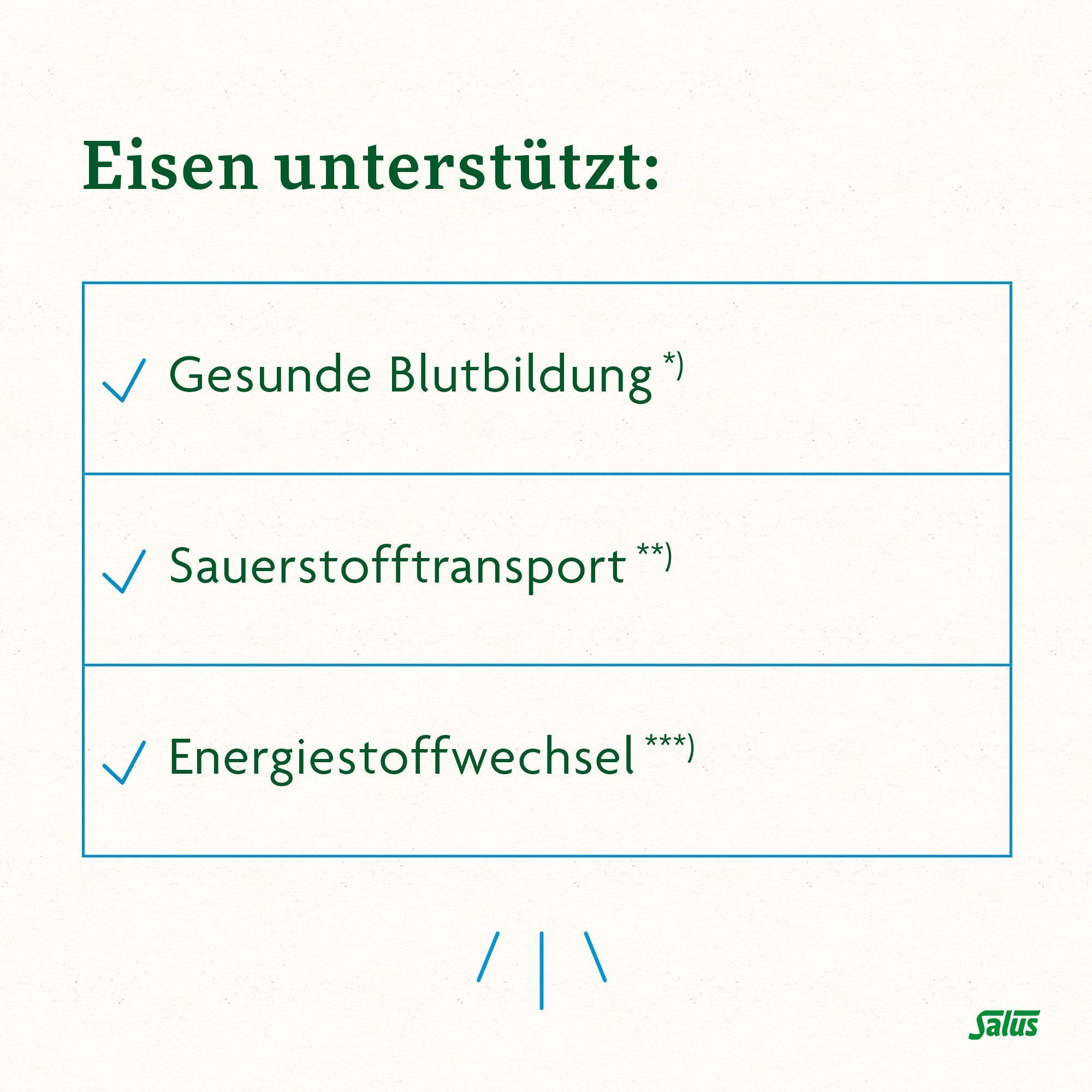 Textfeld mit grünen Häkchen und Text: Gesunde Blutbildung, Sauerstofftransport, Energiestoffwechsel. Salus® Logo.