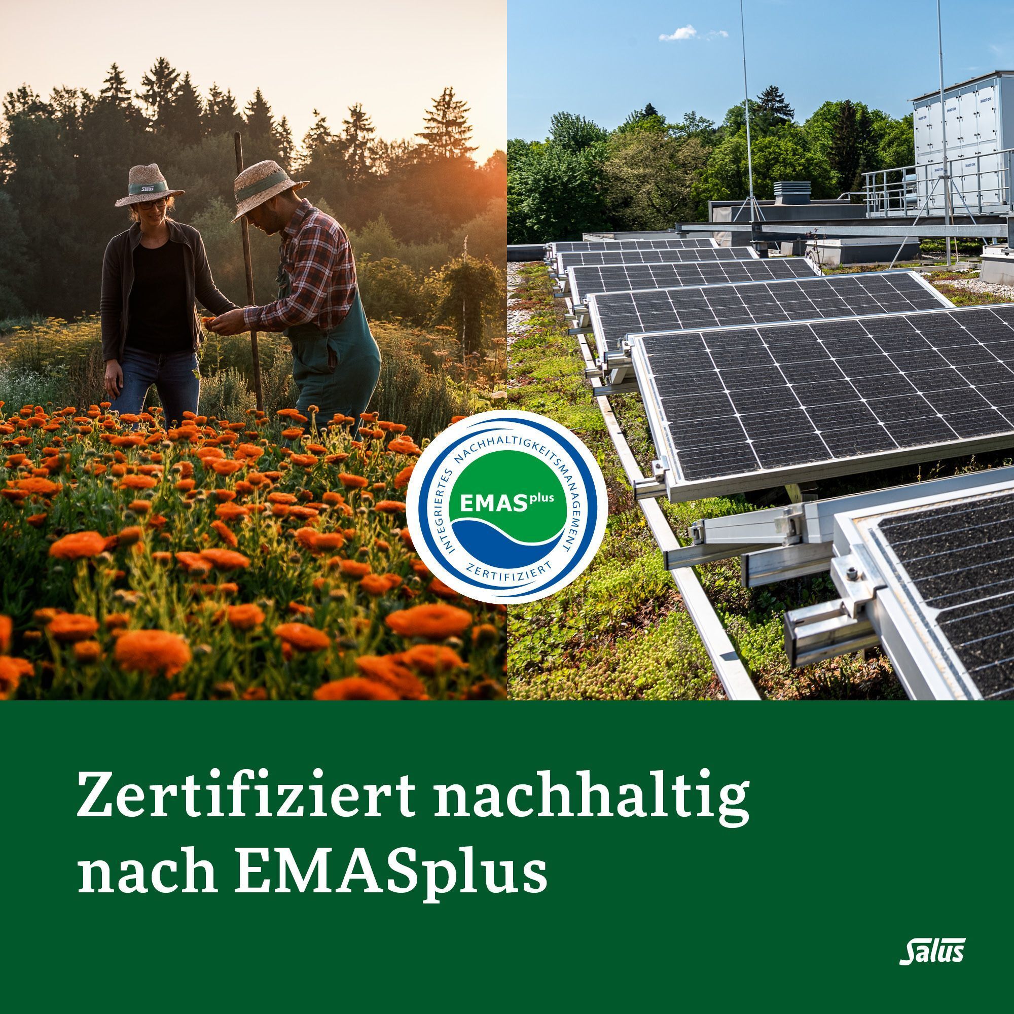 Zertifiziert nachhaltig nach EMASplus. Bild: zwei Personen auf einem Feld, Solaranlage. Salus® Logo.
