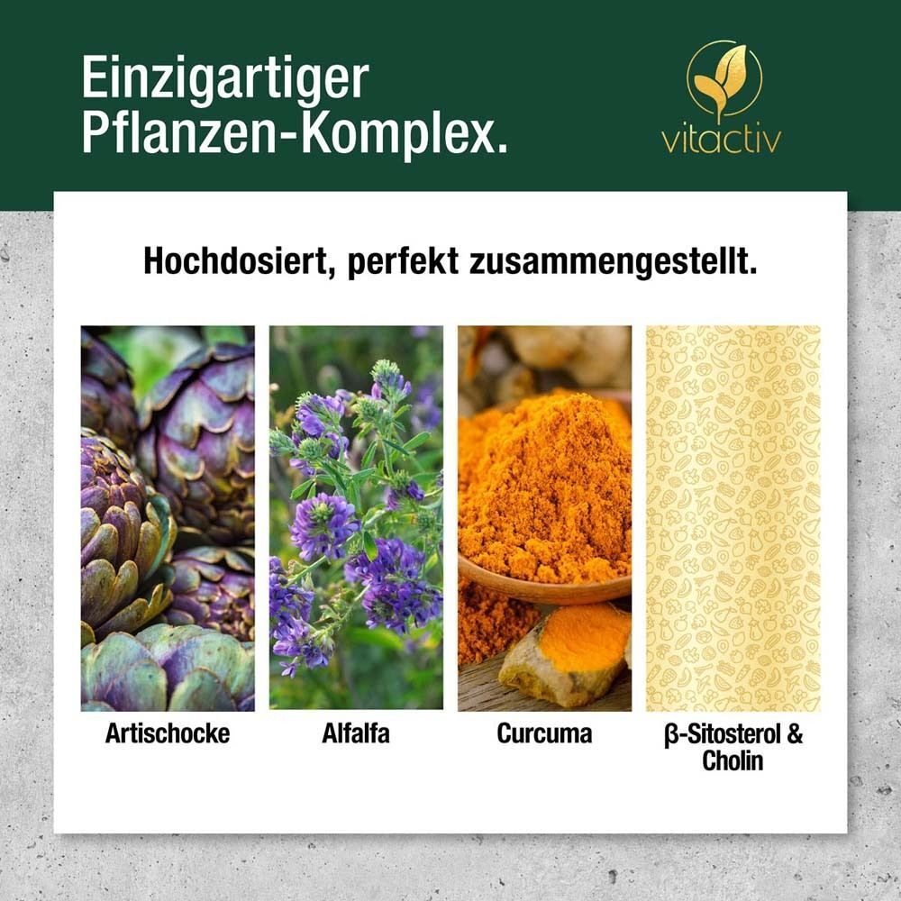 Artischocke, Alfalfa, Curcuma und ß-Sitosterol & Cholin. Pflanzen-Komplex. Hochdosiert.
