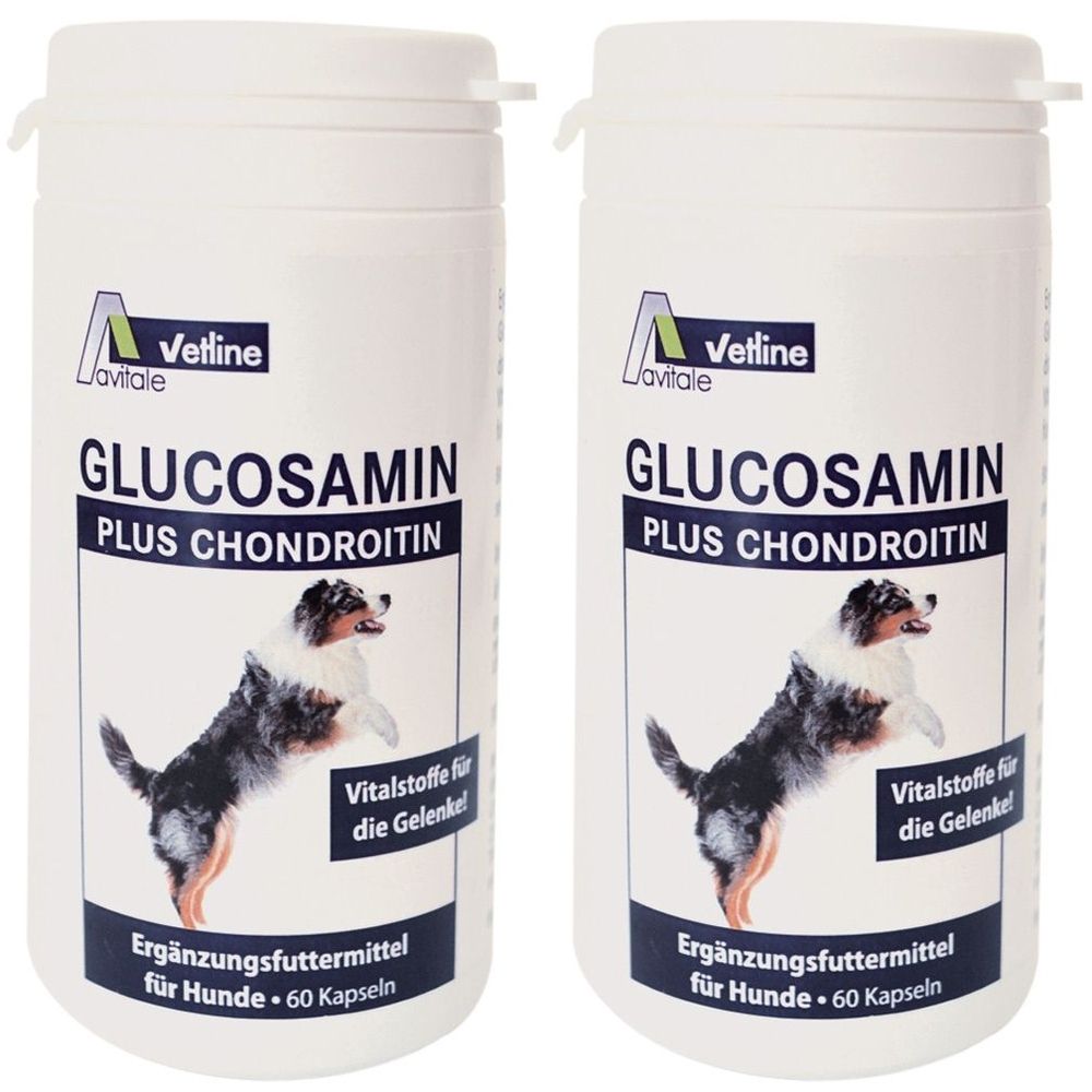 Zwei weiße Dosen mit Aufschrift 'Glucosamin Plus Chondroitin'. Logo 'Avitale Vetline'. Enthält 60 Kapseln. Für Hunde.