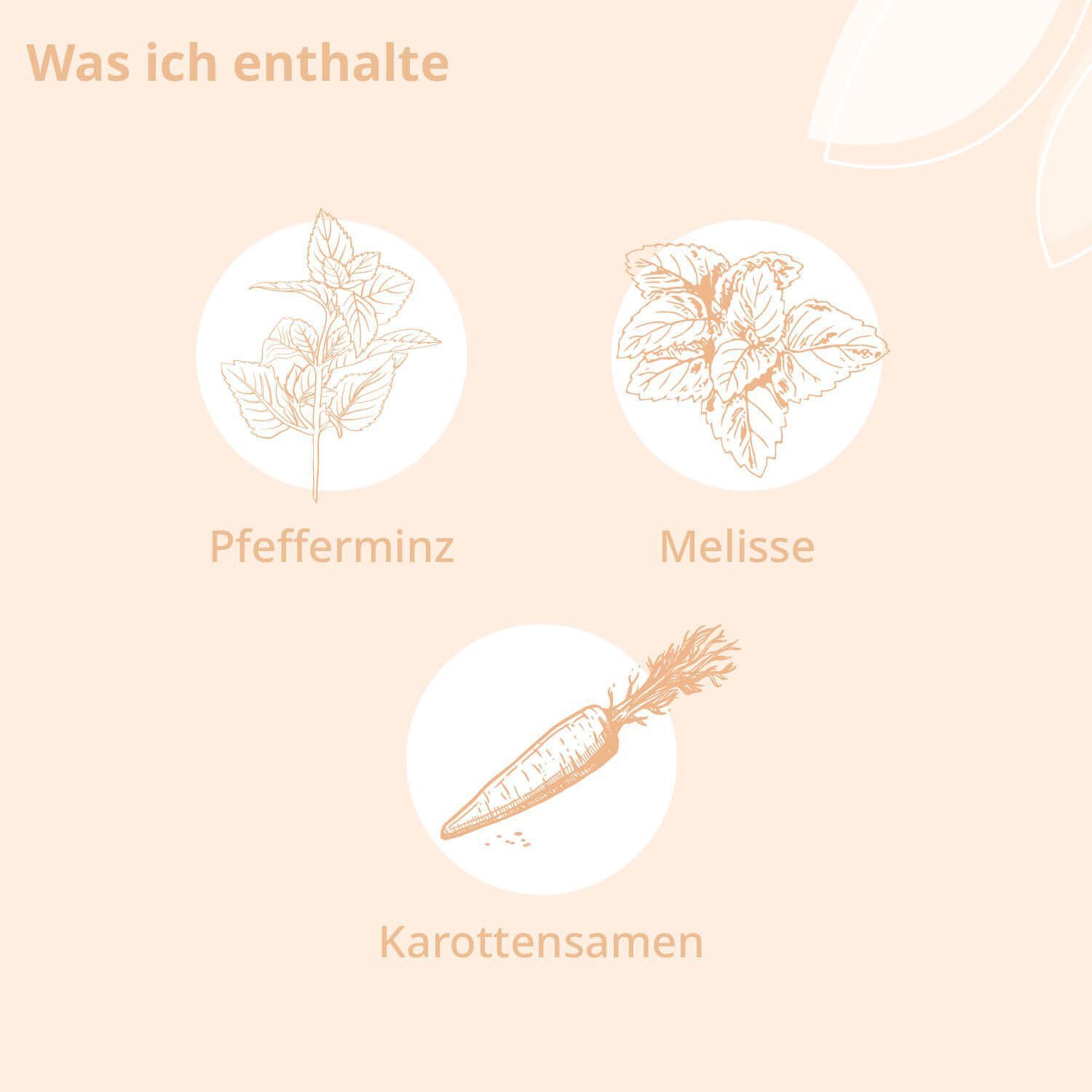 Illustrationen von Pfefferminze, Melisse und Karottensamen in Kreisen. Text: "Was ich enthalte".