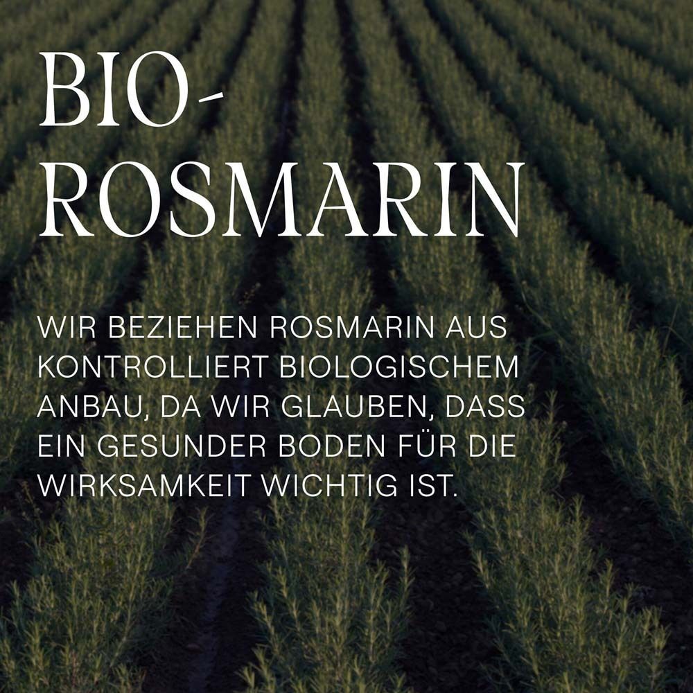 Feld mit Rosmarinpflanzen. Text: Bio-Rosmarin. Wir beziehen Rosmarin aus kontrolliert biologischem Anbau.