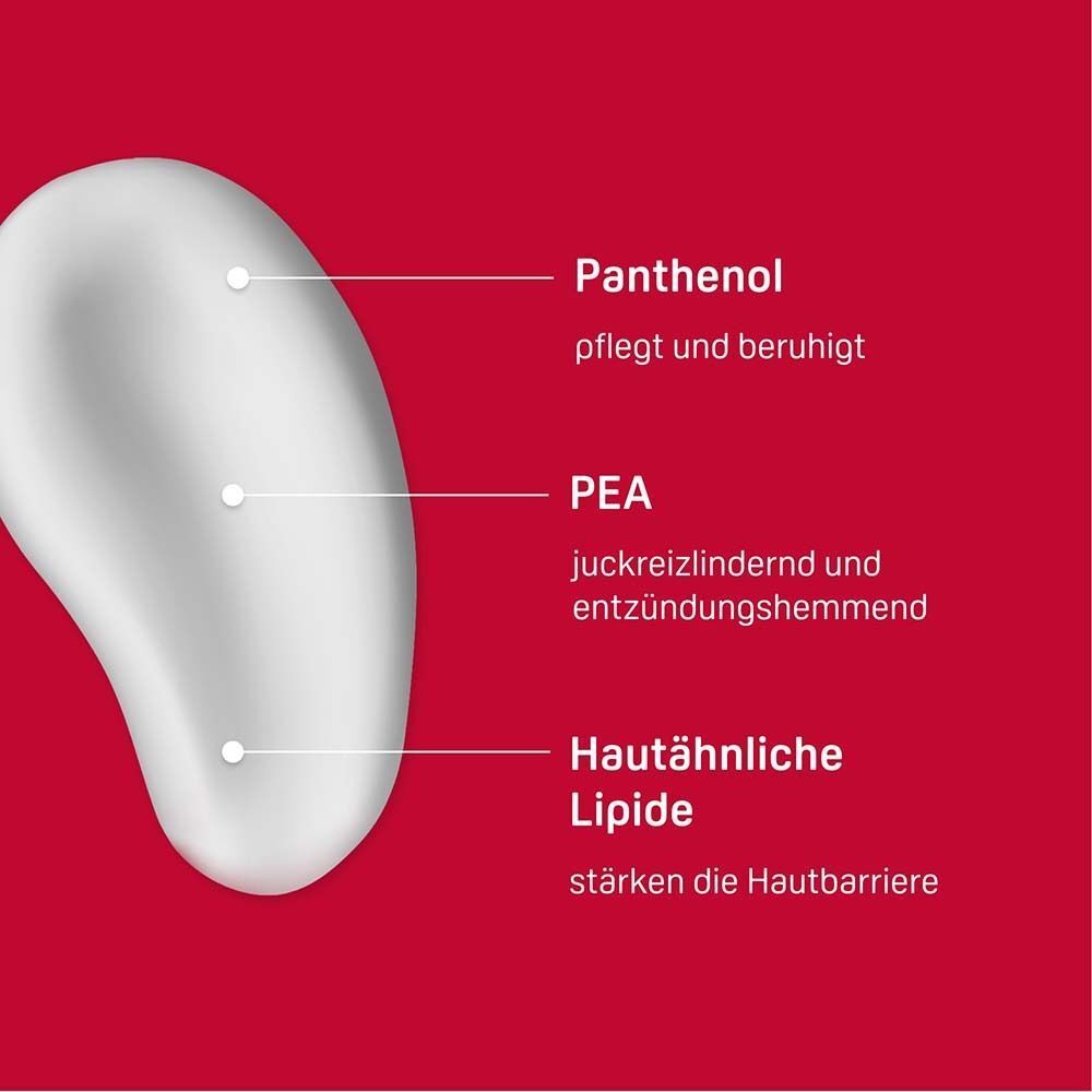 Nahaufnahme Creme. Text: Panthenol, PEA, hautähnliche Lipide. Beschriftung auf rotem Hintergrund.