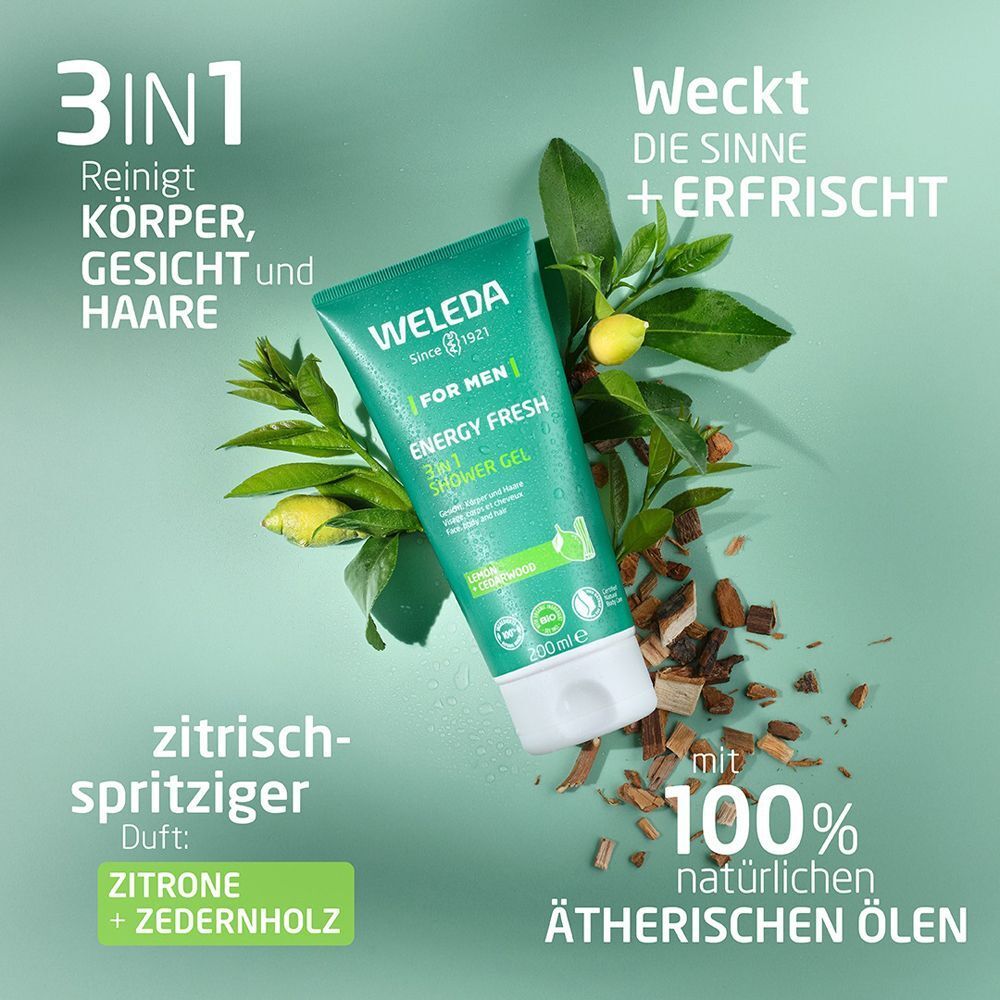 Grüne Tube Duschgel mit Blättern und Holz. Text: 3in1, reinigt Körper, Gesicht und Haare. Mit 100% natürlichen ätherischen Ölen.