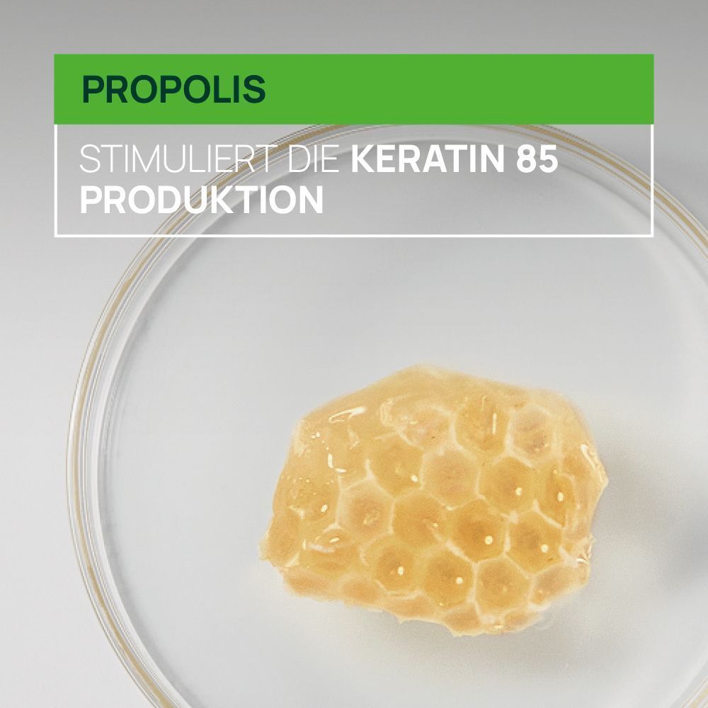 Propolis auf Glasplatte. Aufschrift: Stimuliert die Keratin 85 Produktion.