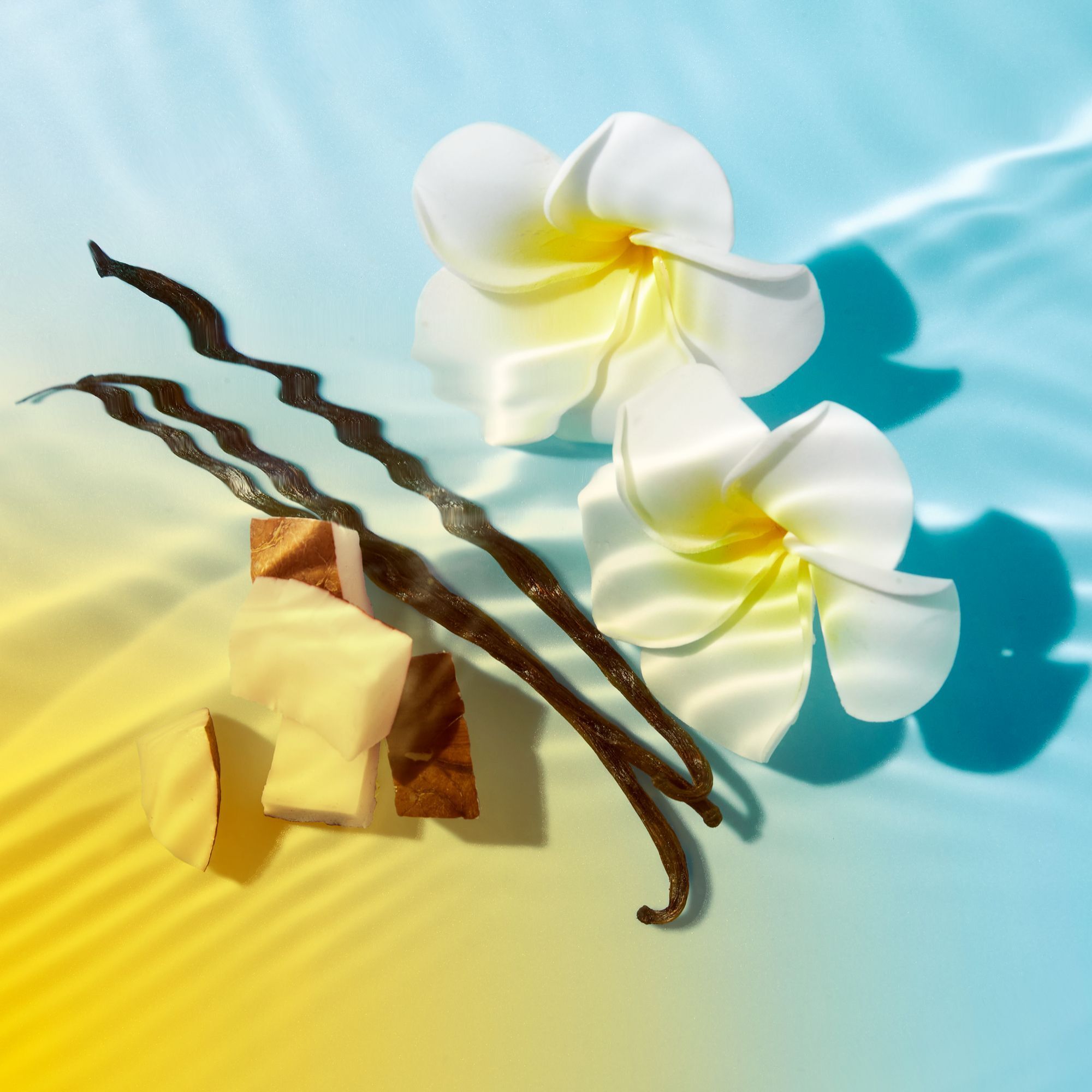 Zwei weiße Blüten, Vanilleschoten und Würfel. Auf blau-gelbem Hintergrund.