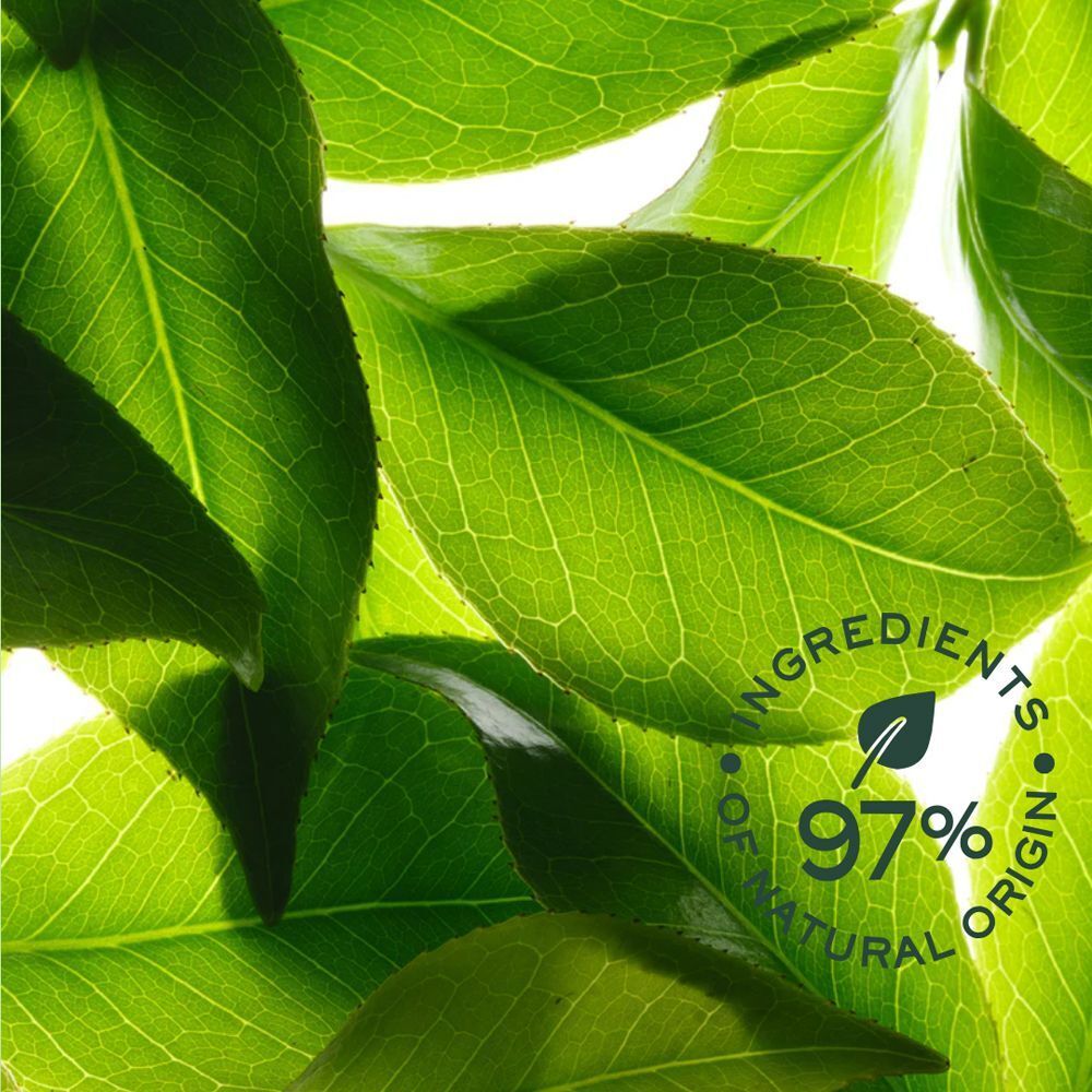 Nahaufnahme von grünen Blättern. Text: 97% natürlichen Ursprungs, Inhaltsstoffe.