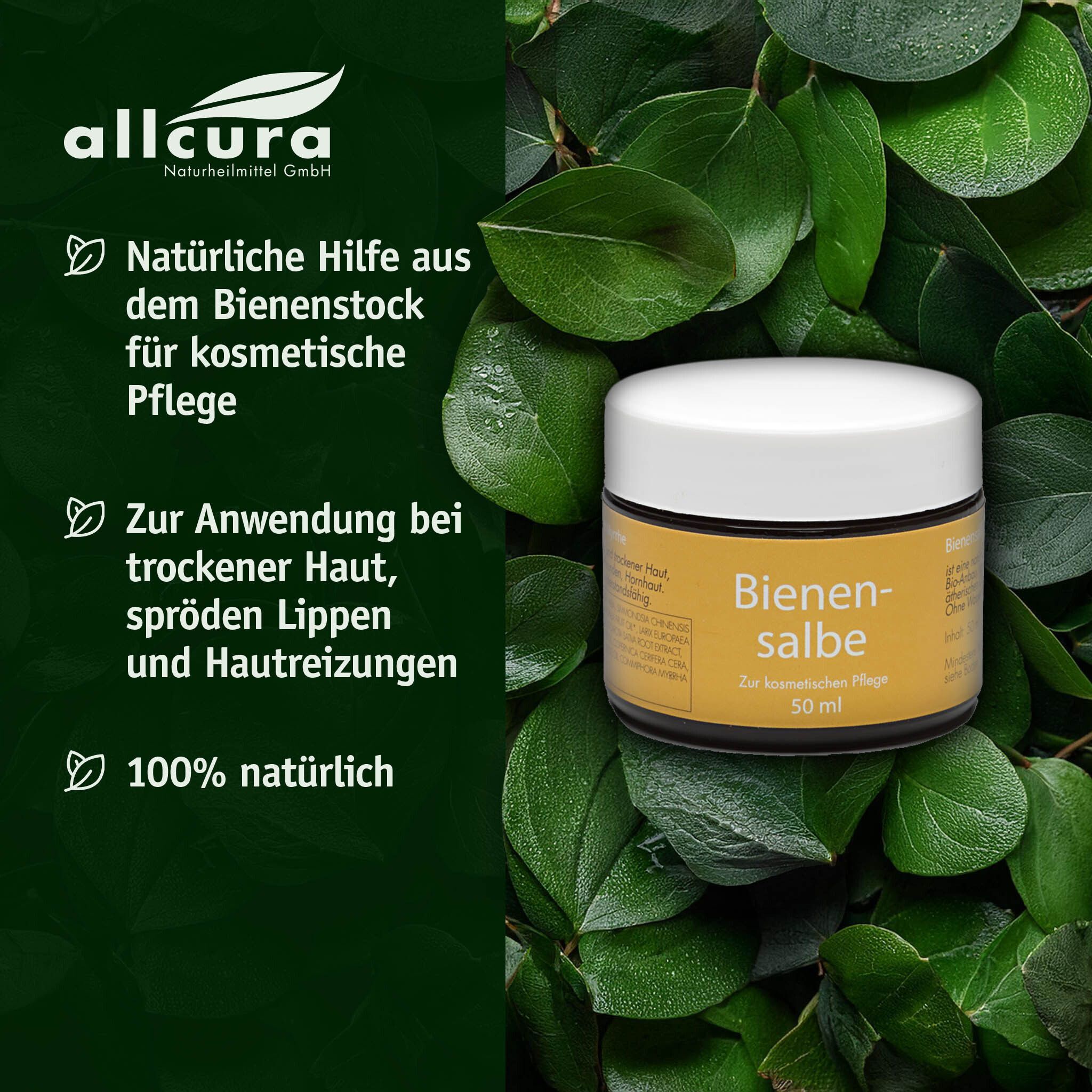 Tiegel Bienensalbe mit weißem Deckel, umgeben von Blättern. Aufschrift: Bienensalbe, 50 ml. Logo: allcura.