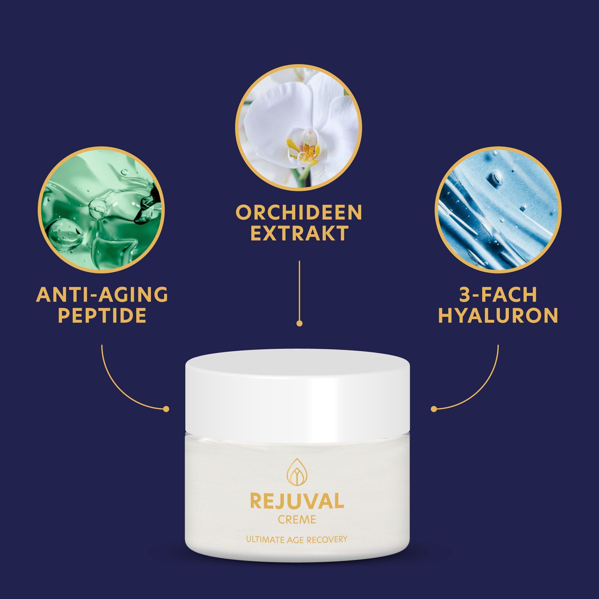 Tiegel REJUVAL Creme mit Inhaltsstoffen. Anti-Aging Peptide, Orchideenextrakt, 3-fach Hyaluron.
