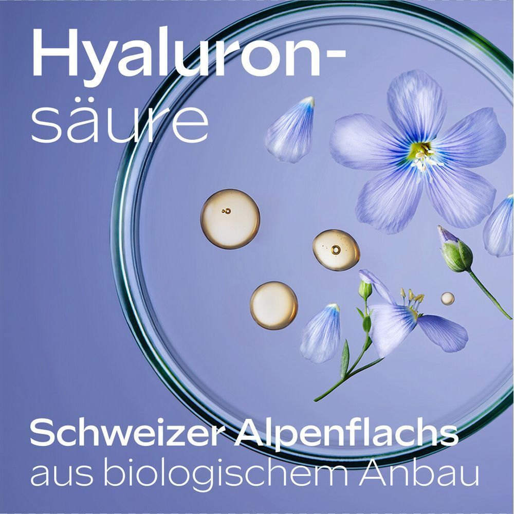 Petrischale mit Hyaluronsäure und Alpen-Lein-Blüten. Text: Schweizer Alpenflachs aus biologischem Anbau. Blauer Hintergrund.