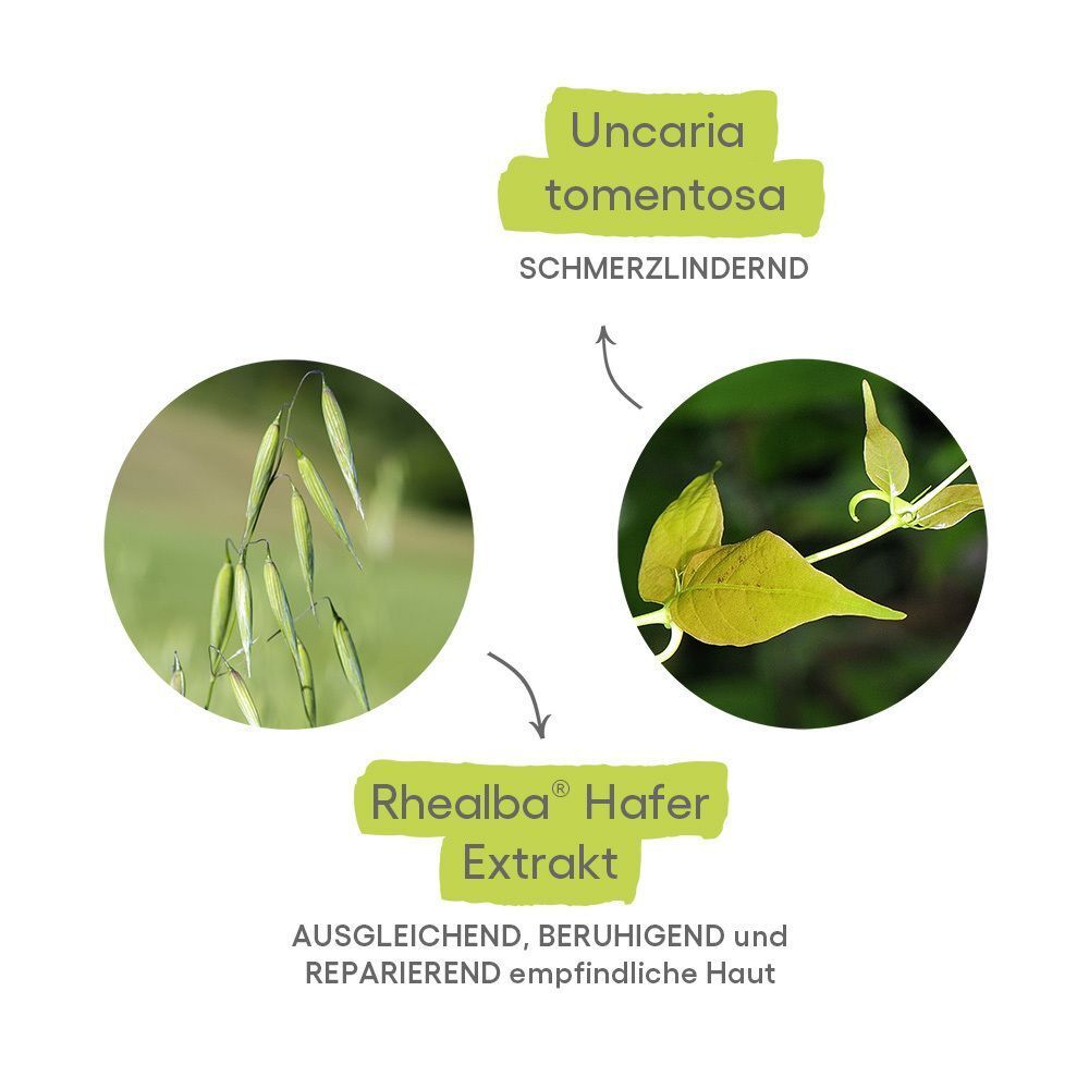 Grafik: Rhealba Hafer Extrakt, Uncaria tomentosa. Text: Ausgleichend, beruhigend, reparierend empfindliche Haut. Schmerzlindernd.