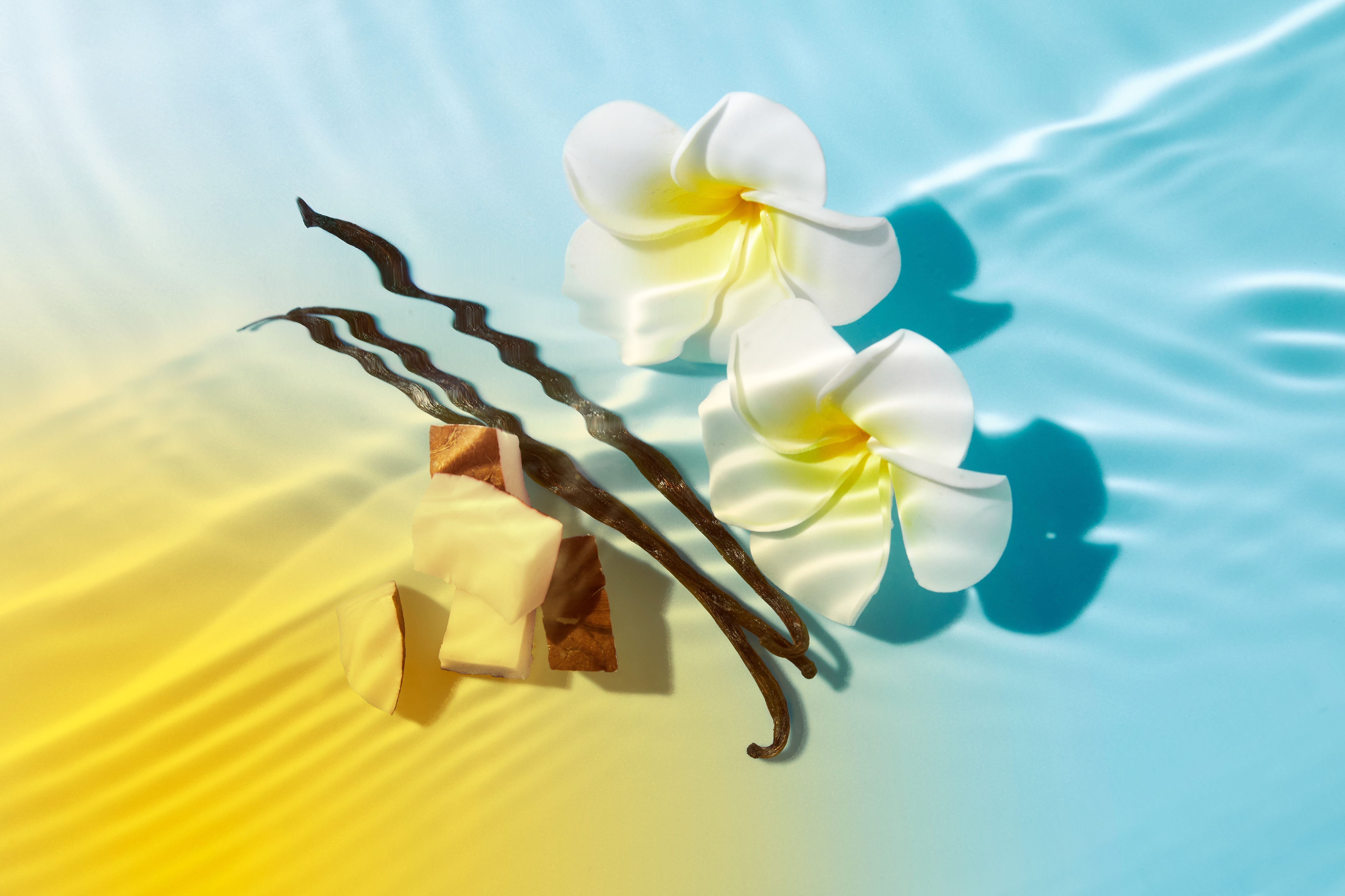 Blüten, Vanilleschoten und Schokoladenstücke auf blau-gelbem Hintergrund. Natürliche Elemente.