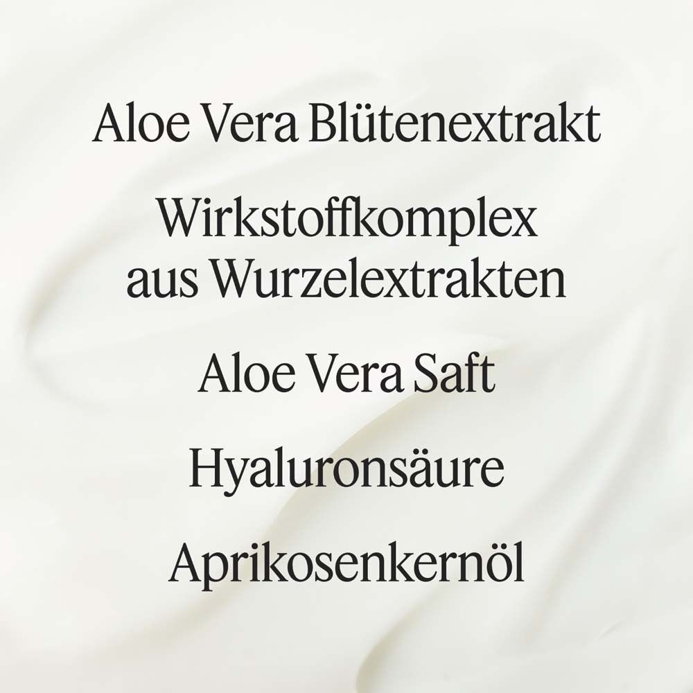 Text auf weißem Hintergrund: Aloe Vera Blütenextrakt, Wirkstoffkomplex, Aloe Vera Saft, Hyaluronsäure, Aprikosenkernöl.