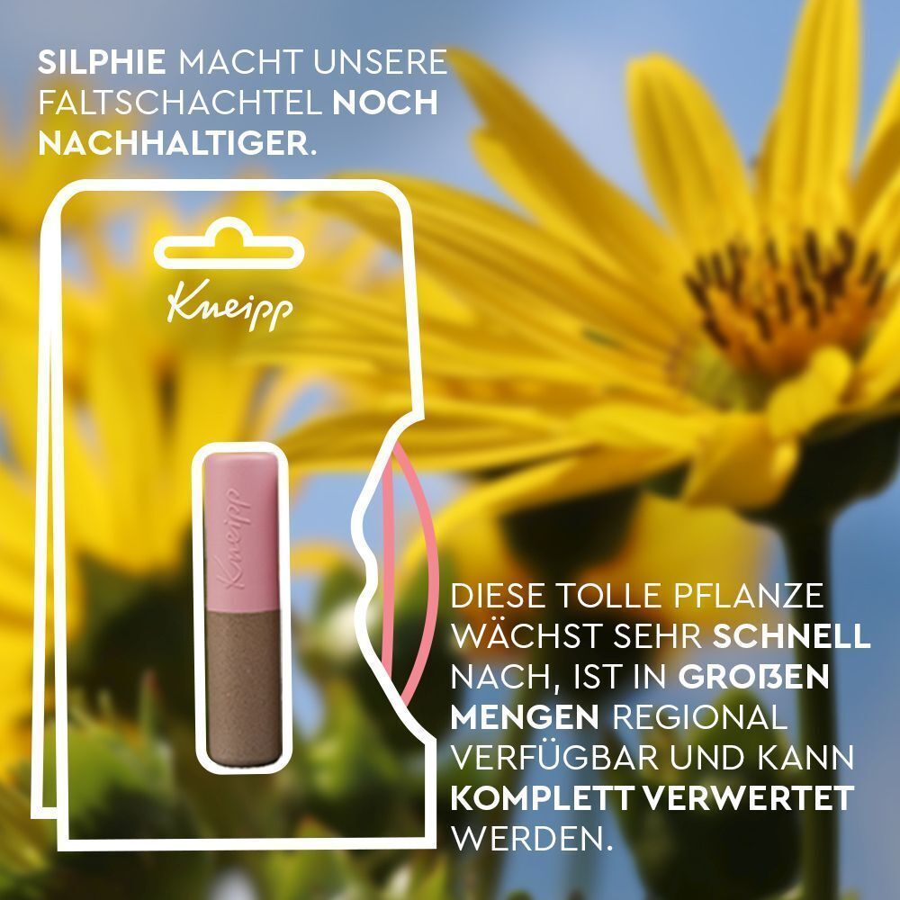 Verpackung mit Lippenpflegestift vor gelben Blumen. Text: Silphie macht unsere Faltschachtel noch nachhaltiger.