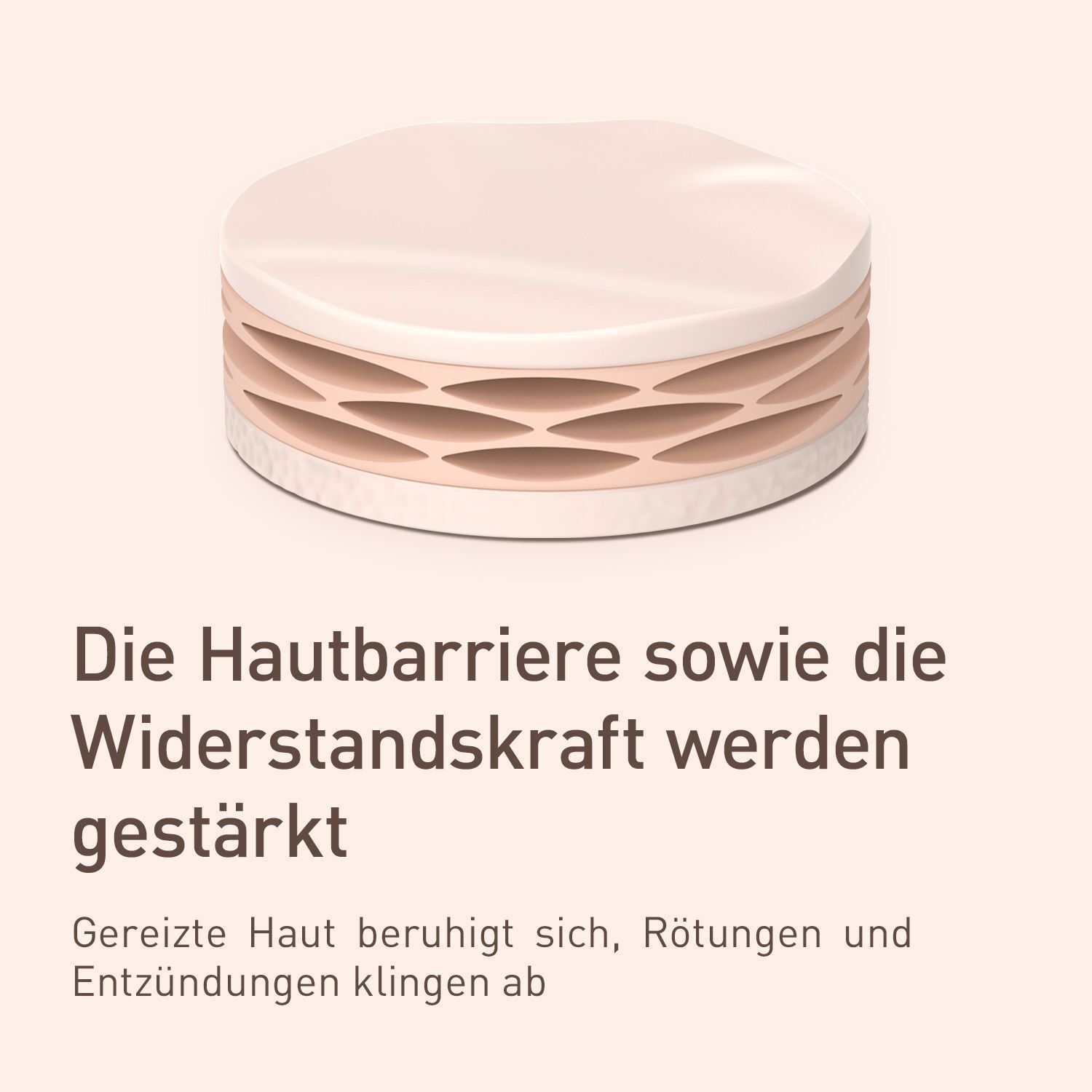 Darstellung der Hautbarriere. Text: "Die Hautbarriere sowie die Widerstandskraft werden gestärkt".
