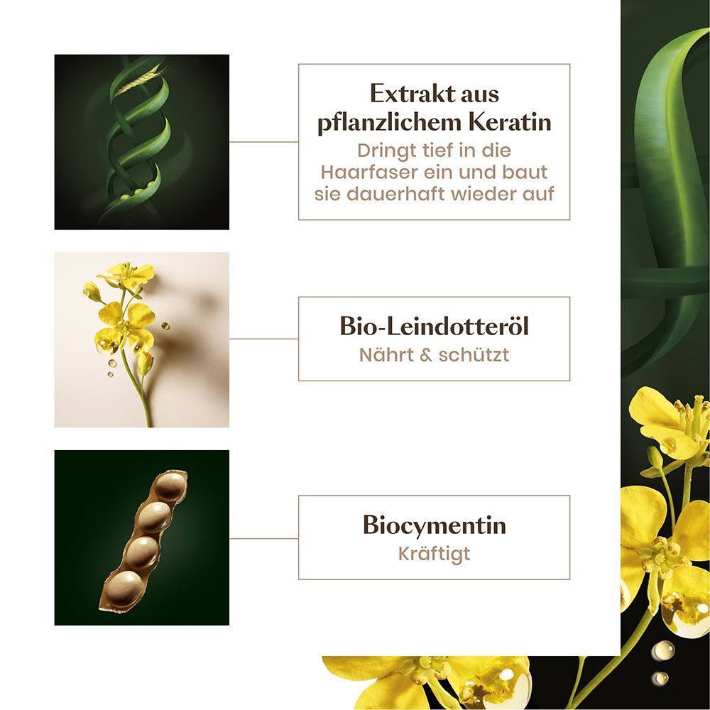 Inhaltsstoffe von FURTERER Absolue Keratine Elixier. Text: Extrakt aus pflanzlichem Keratin, Bio-Leindotteröl, Biocymentin.