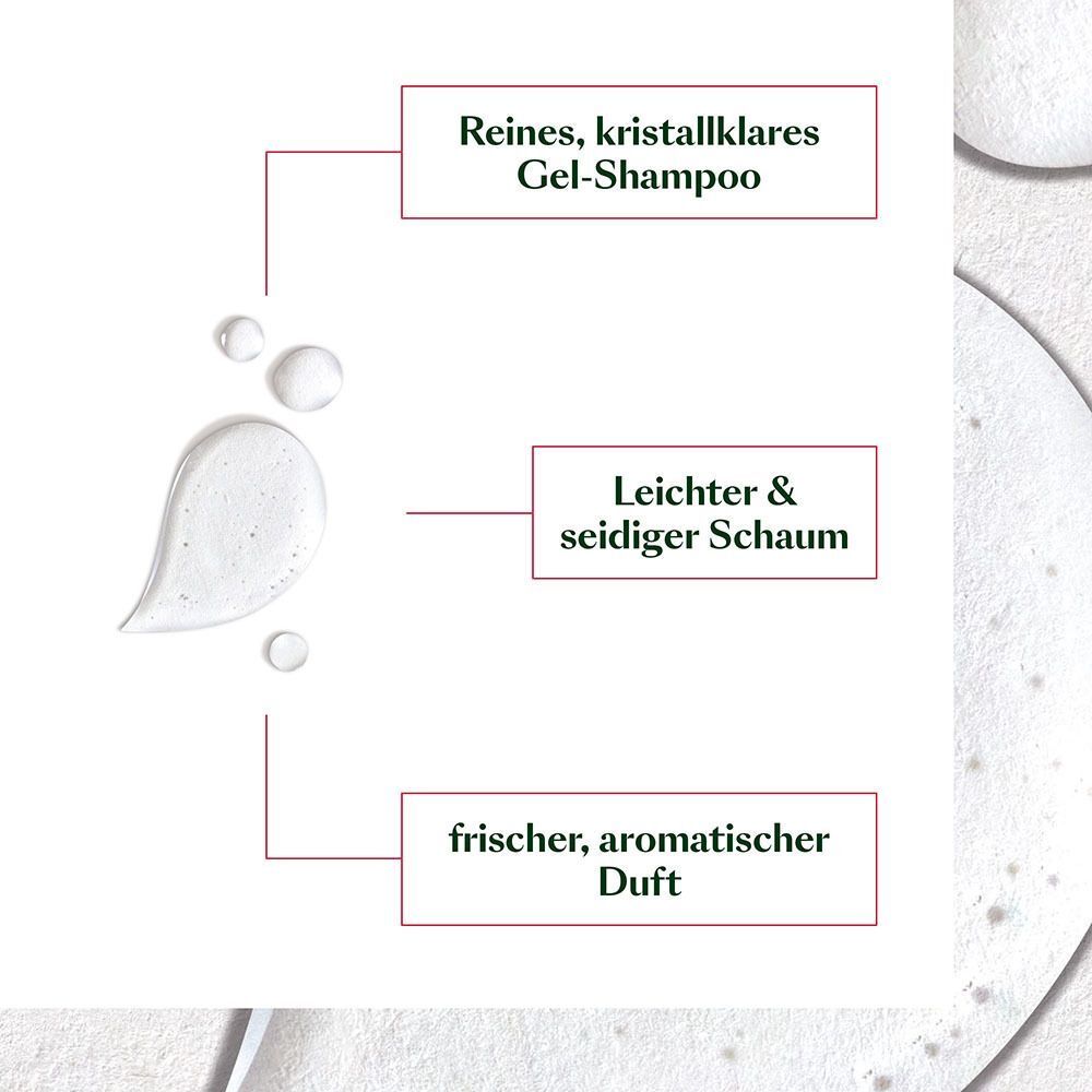 Nahaufnahme von Shampoo-Gel. Text: Reines, kristallklares Gel-Shampoo, leichter & seidiger Schaum, frischer, aromatischer Duft.