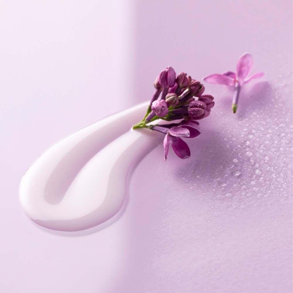 Klecks Creme mit Fliederblüten. Creme-Klecks, Fliederblüten und Knospen auf lila Untergrund.
