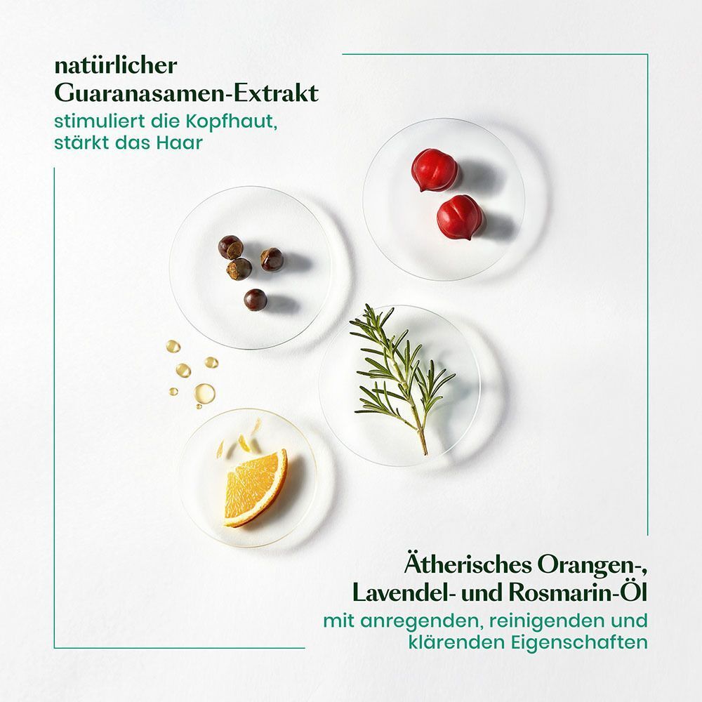 Vier Petrischalen mit Inhaltsstoffen: Guarana-Extrakt, Beeren, Rosmarinzweig, Orangenscheibe. Text: Ätherische Öle.