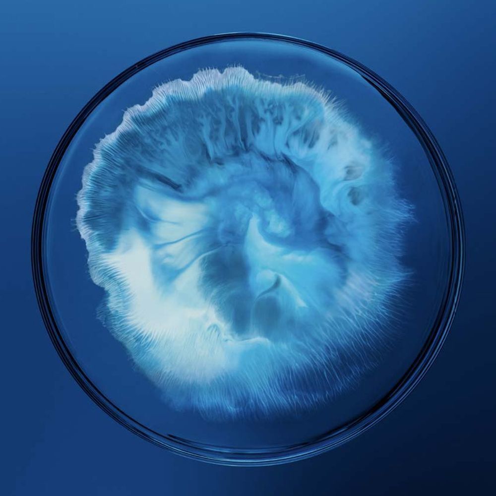 Nahaufnahme einer blauen, wirbelförmigen Substanz in einem runden, transparenten Behälter.