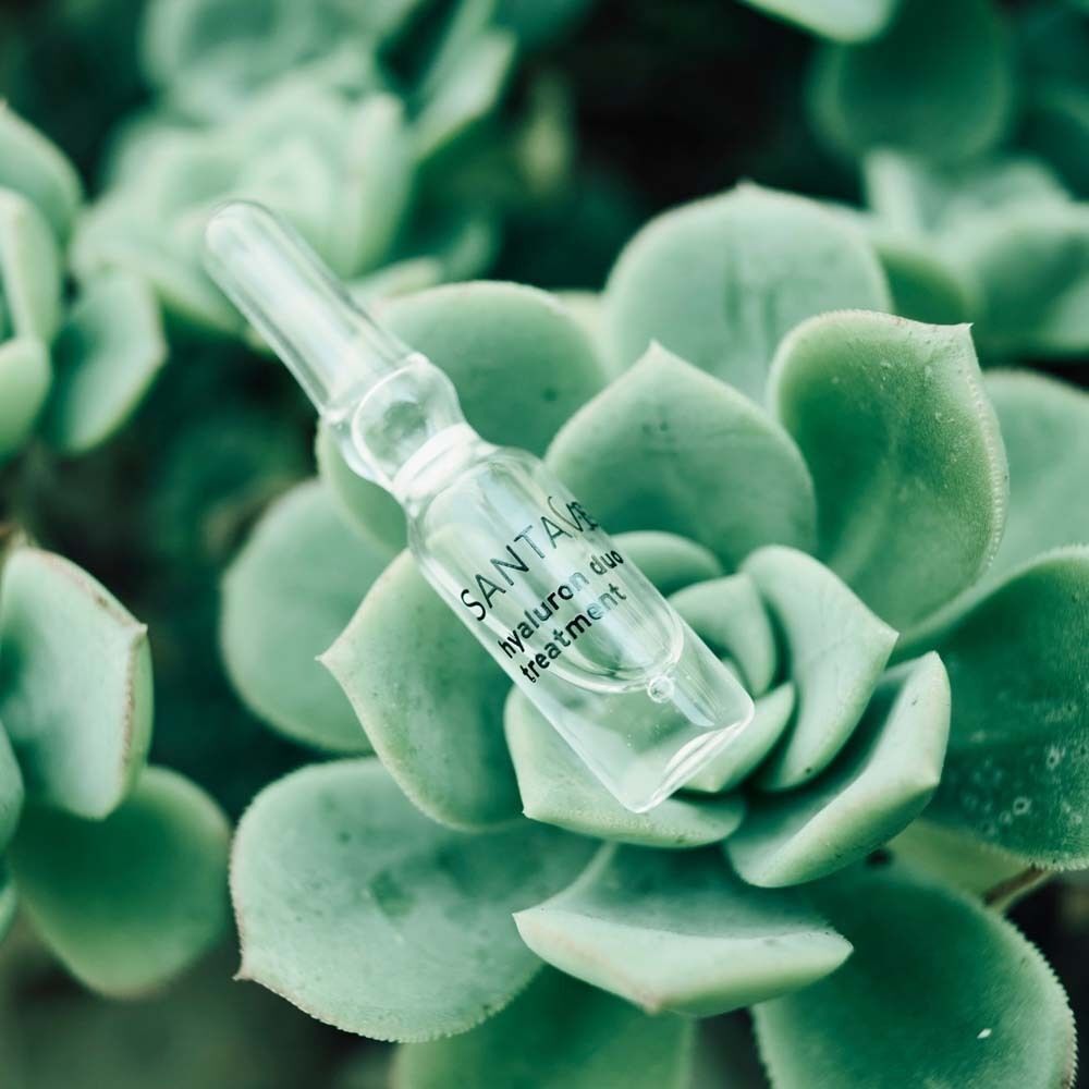 Glasampulle mit SANTAVERDE-Aufdruck. Hyaluron duo treatment. Auf Sukkulenten platziert.
