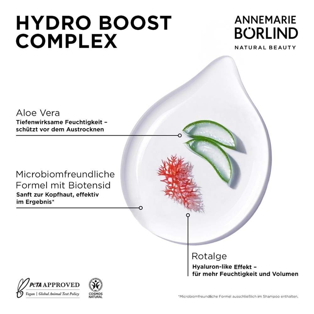 Inhaltsstoffe auf weißem Hintergrund. Aloe Vera, Rotalge und ein rotes Element. Text.