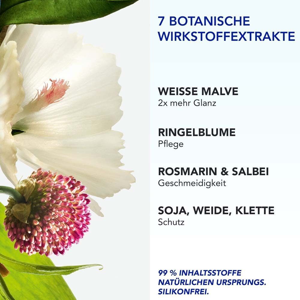 Phyto 7 Haartagescreme: 7 pflanzliche Extrakte, weiße Malve, Ringelblume, Rosmarin, Salbei, Soja, Weide, Klette. 99% natürliche Inhaltsstoffe.