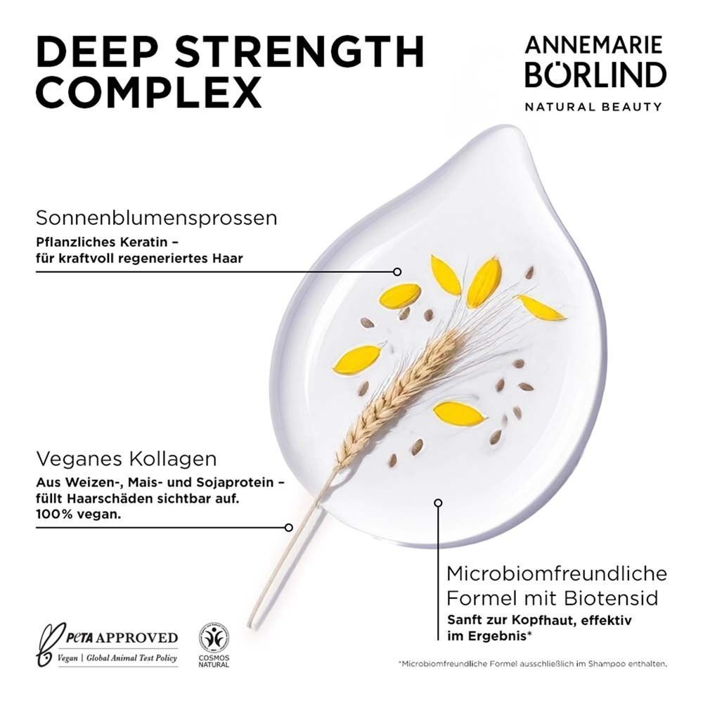 Grafik mit Inhaltsstoffen. Sonnenblumen, Weizen, Sojabohnen. Text: Deep Strength Complex, veganes Kollagen, Mikroformel.