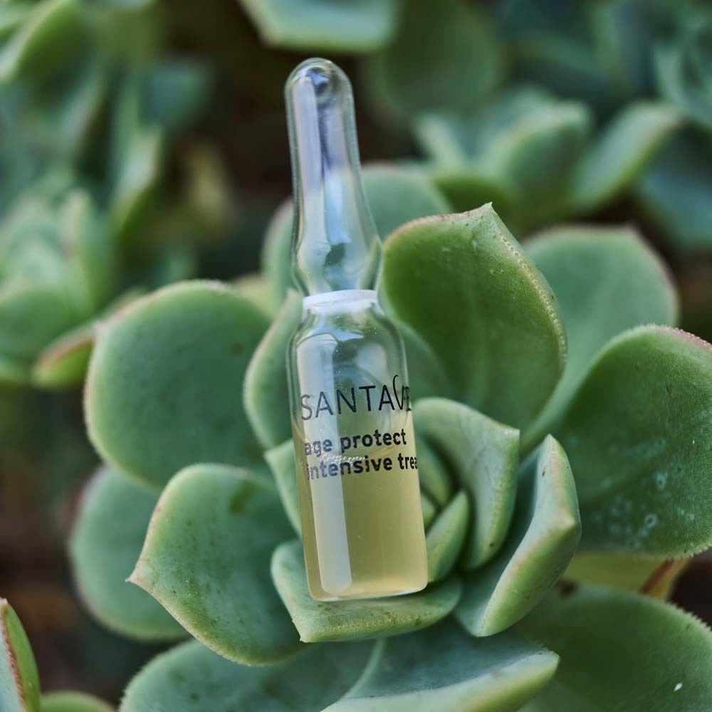 Eine Ampulle SANTAVERDE age protect intensive treatment auf grünen Blättern. Klare Glasampulle mit gelblicher Flüssigkeit.