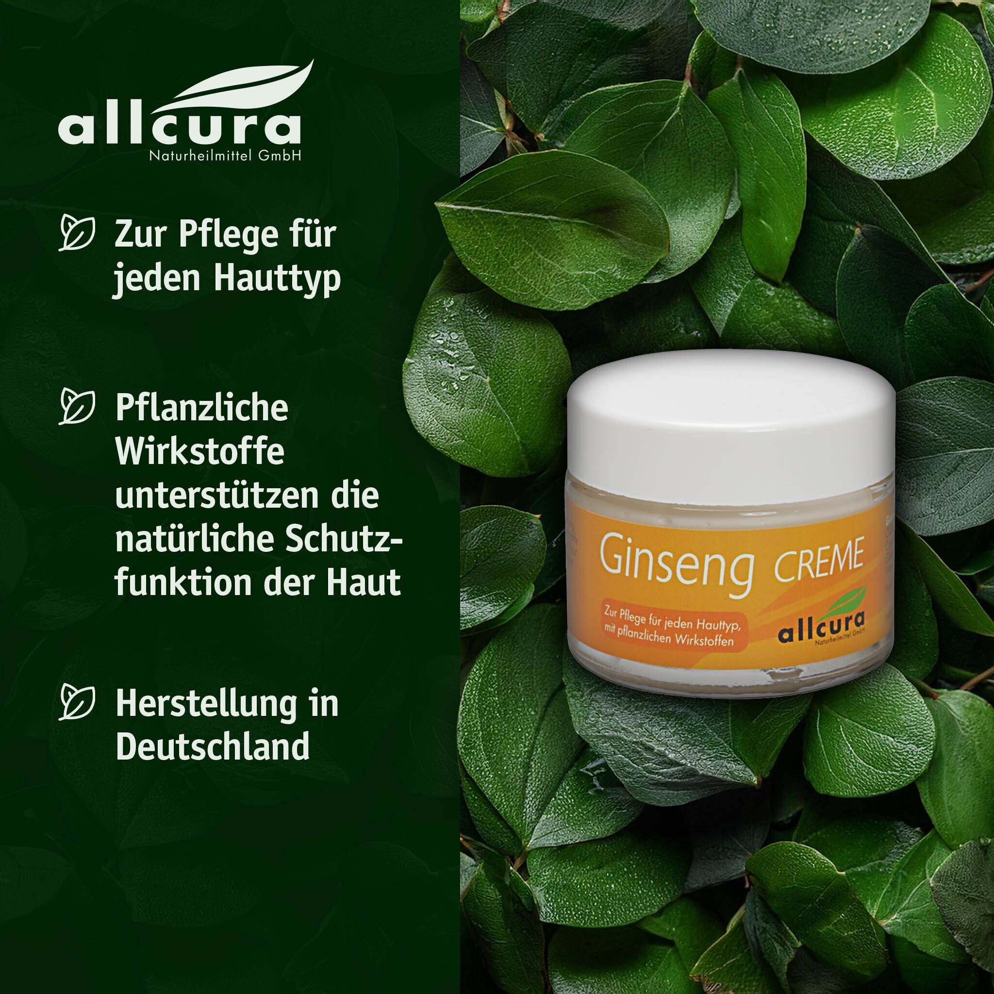 Glas allcura Ginseng Creme auf Blättern. Weißer Deckel, orangefarbenes Etikett. Text: Ginseng Creme, allcura. Hintergrund: grüne Blätter.
