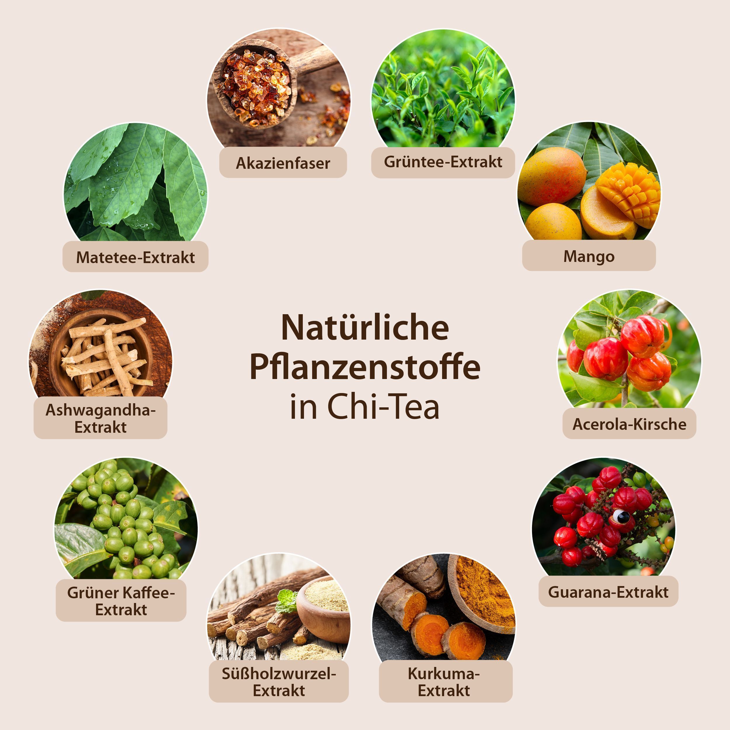 Kreisförmige Anordnung von Pflanzenextrakten. Enthalten sind: Akazienfaser, Grüntee, Mango, Mate, Ashwagandha, Acerola, Grüner Kaffee, Süßholz, Kurkuma.