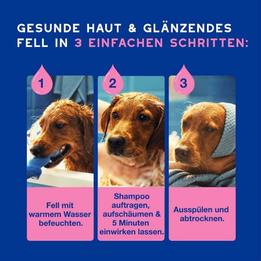 Drei Bilder zeigen Schritte für gesundes Fell: Befeuchten, shampoonieren, ausspülen. Text: Gesunde Haut & glänzendes Fell in 3 Schritten.