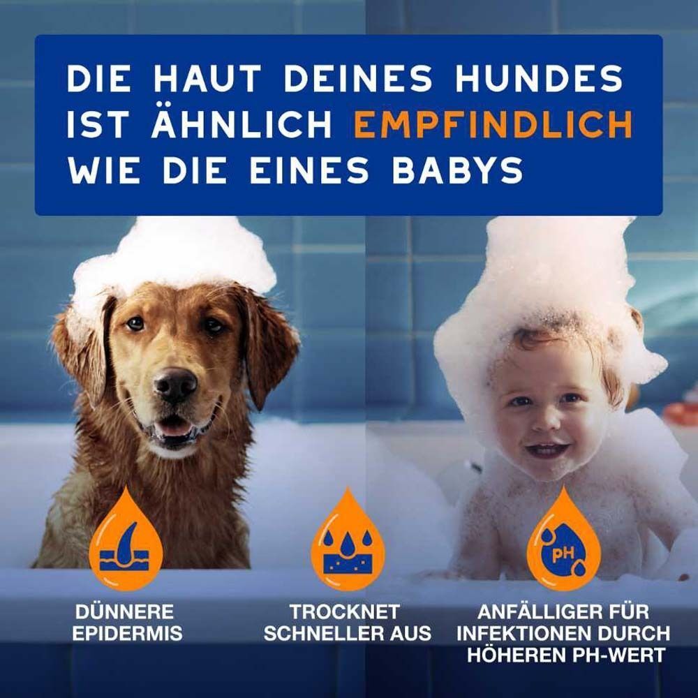Vergleich Hund und Baby. Text: Die Haut deines Hundes ist ähnlich empfindlich wie die eines Babys. Dünnere Epidermis. Trocknet schneller aus.