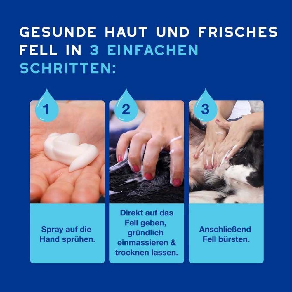 Drei Schritte zur Anwendung von DOUXO® SPA Trockenshampoo: Sprühen, einmassieren, bürsten. Hände und Hundefell im Bild.