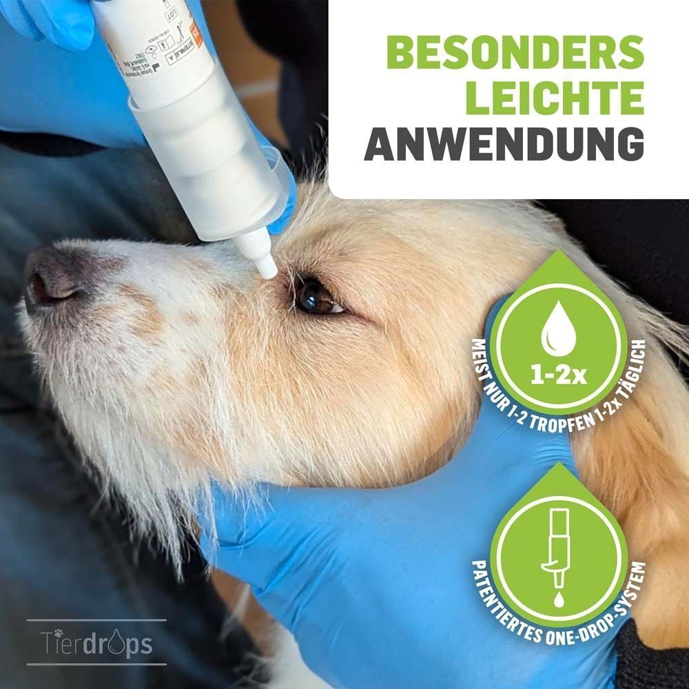Hund, dem Augentropfen verabreicht werden. Blaue Handschuhe. Text: Besonders leichte Anwendung. Kreisförmige Symbole mit Text.
