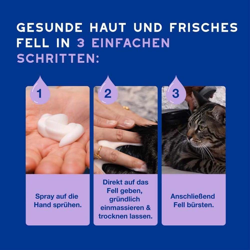 Drei Bilder zeigen die Anwendung von DOUXO® SPA Trockenshampoo für Katzen. Schritte: Sprühen, einmassieren, bürsten.