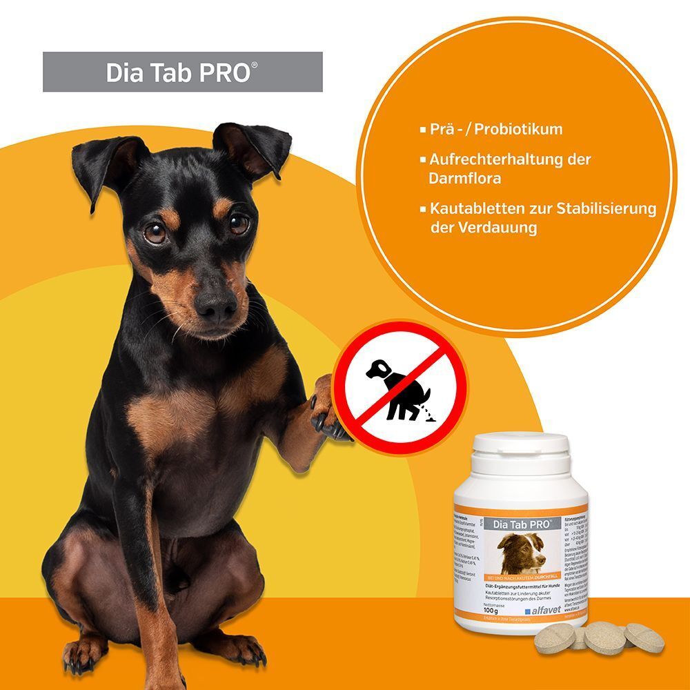 Kleiner Hund neben Produktflasche und Tabletten. Aufschrift: Dia Tab PRO, 100g, alfavet. Rotes Verbotsschild mit Hund.