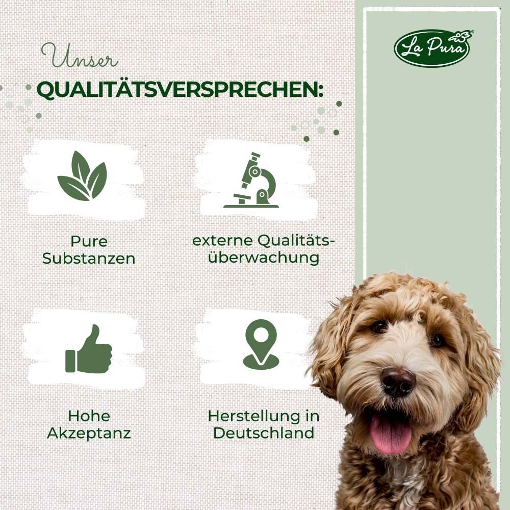 Illustration: Qualität. Icons: Pure Substanzen, externe Qualitätsüberwachung, hohe Akzeptanz, Herstellung in Deutschland.