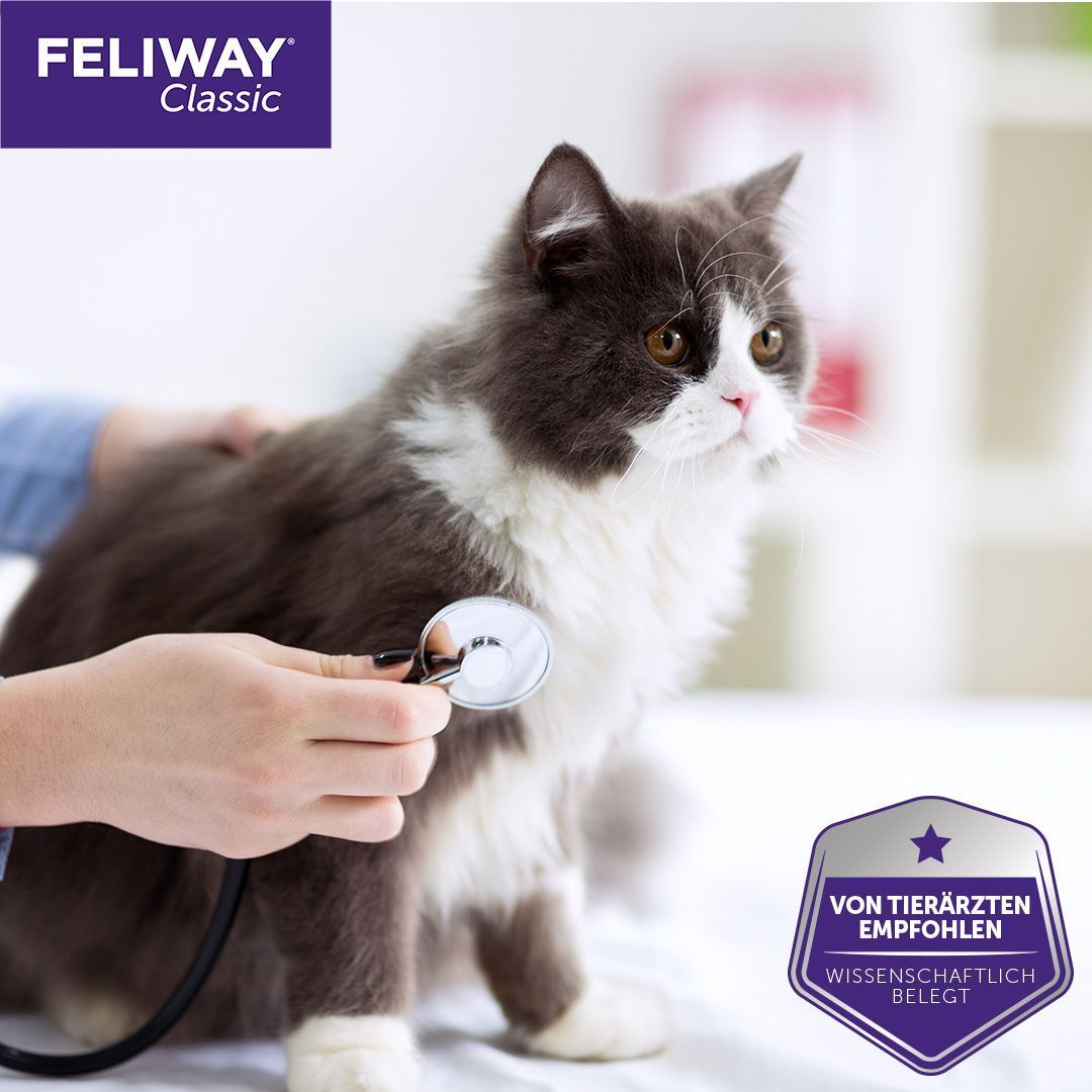 Tierarzt untersucht Katze. Logo FELIWAY Classic. Siegel: Von Tierärzten empfohlen, wissenschaftlich belegt.