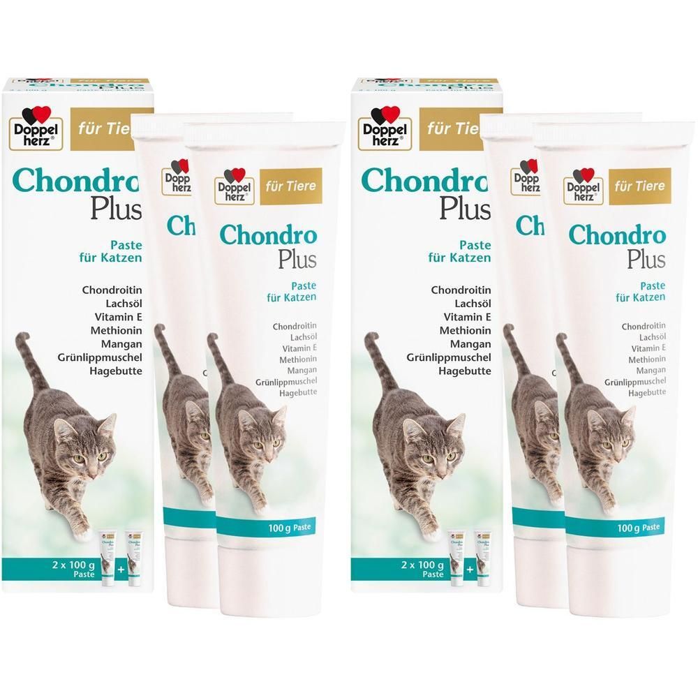 Mehrere Tuben und Verpackungen. Aufschrift: Chondro Plus Paste für Katzen. Abbildung einer Katze. 2 x 100 g.
