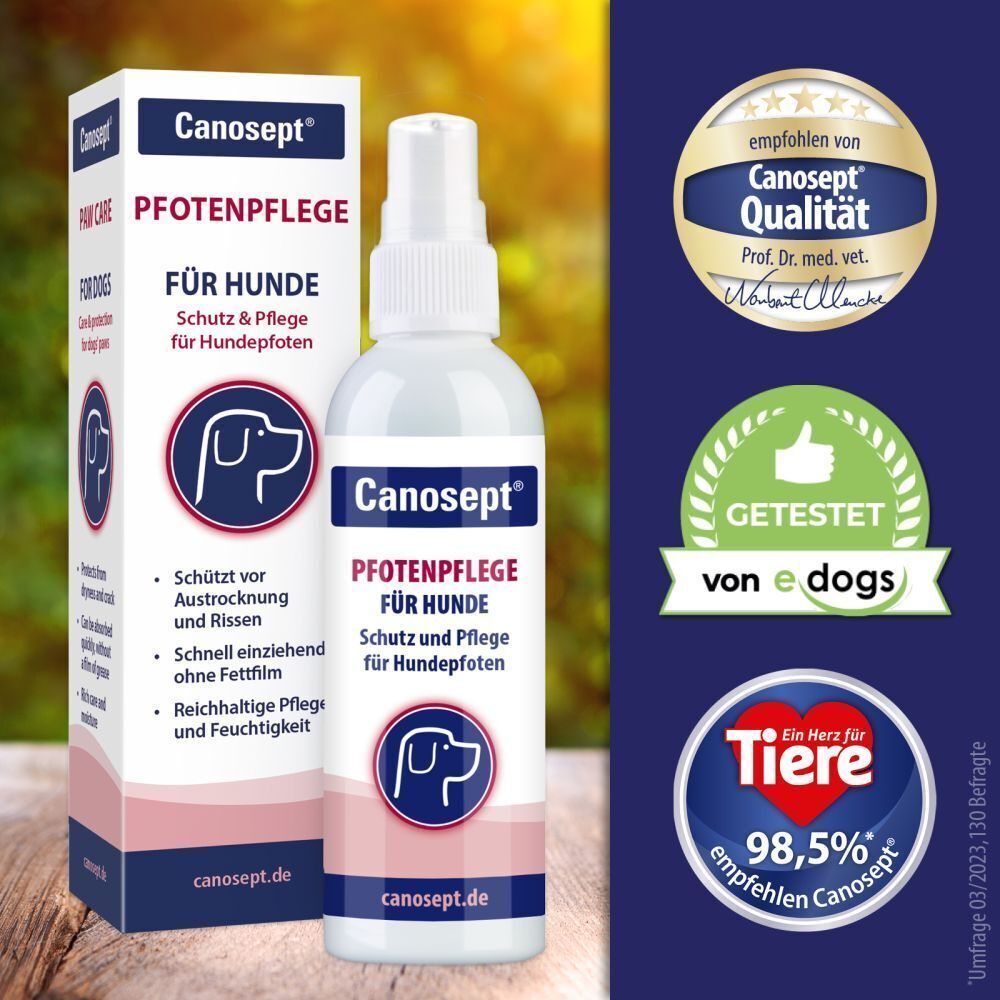 Canosept Pfotenpflege für Hunde. Flasche und Verpackung. Logo, Produktinformationen und Gütesiegel. Hintergrund: Holz und Sonnenlicht.