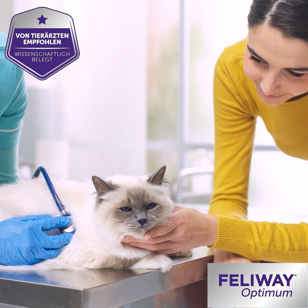 Tierarzt untersucht Katze. FELIWAY® Optimum Logo.