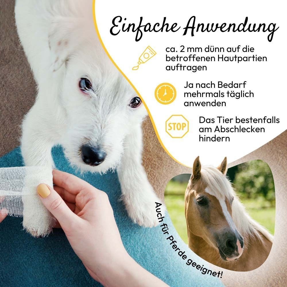Anwendung von PHA Petvet HautRepair. Illustration einer Hand, die Creme auf einen Verband aufträgt. Auch für Pferde geeignet!
