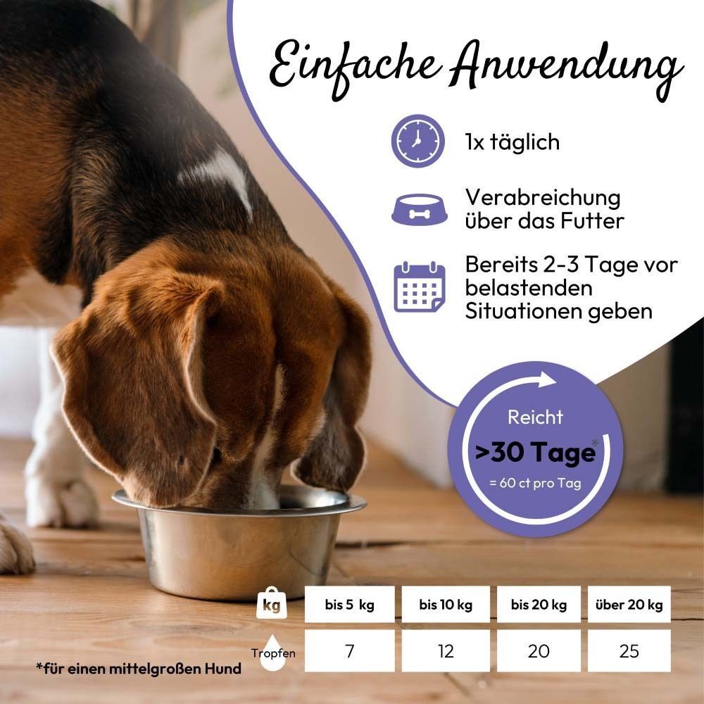 Hund isst aus einer Schüssel, daneben eine Tabelle mit Dosierungsempfehlungen für PHA AntiStress.