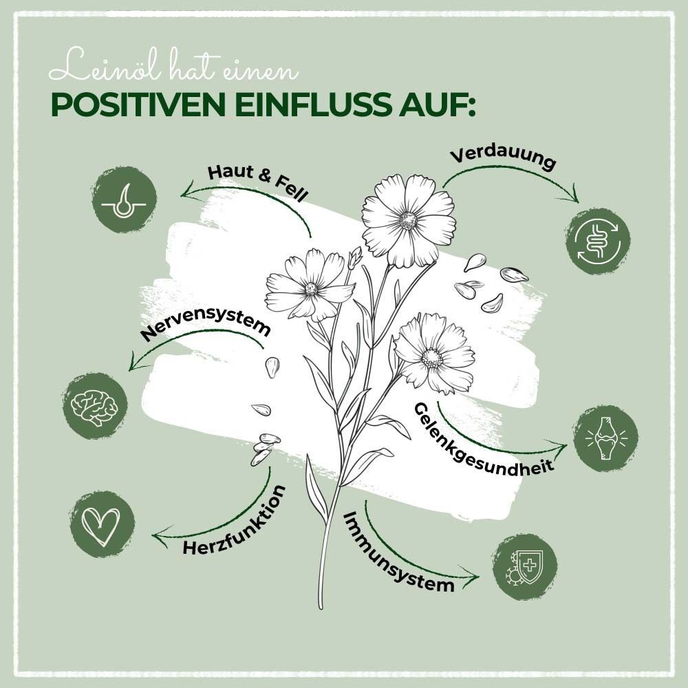Illustration von Blumen und Pfeilen, die positive Auswirkungen auf Haut & Fell, Verdauung, Nervensystem, etc. zeigen.
